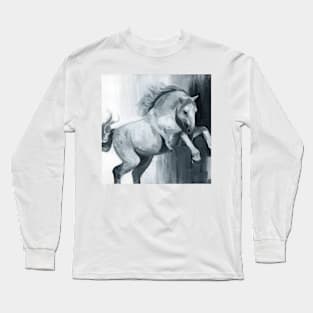 prancing horse in acrylic Long Sleeve T-Shirt